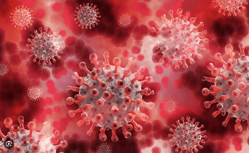 “Disease X is as infectious as measles with the fatality rate of Ebola”, warns UK based health expert