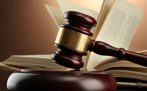 Bharatiya Nyay Sanhita Takes Effect: First FIR Registered Against Delhi Street Vendor
