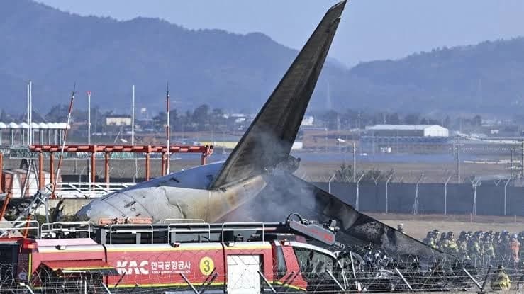 South Korea Plane Crash: 177 Dead and 2 Rescued at Muan Airport