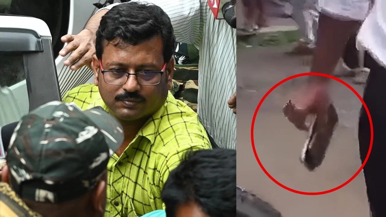 ED Raids TMC MLA Jiban Krishna Saha’s Residence in SSC Scam Probe, Phone Thrown into Drain Recovered