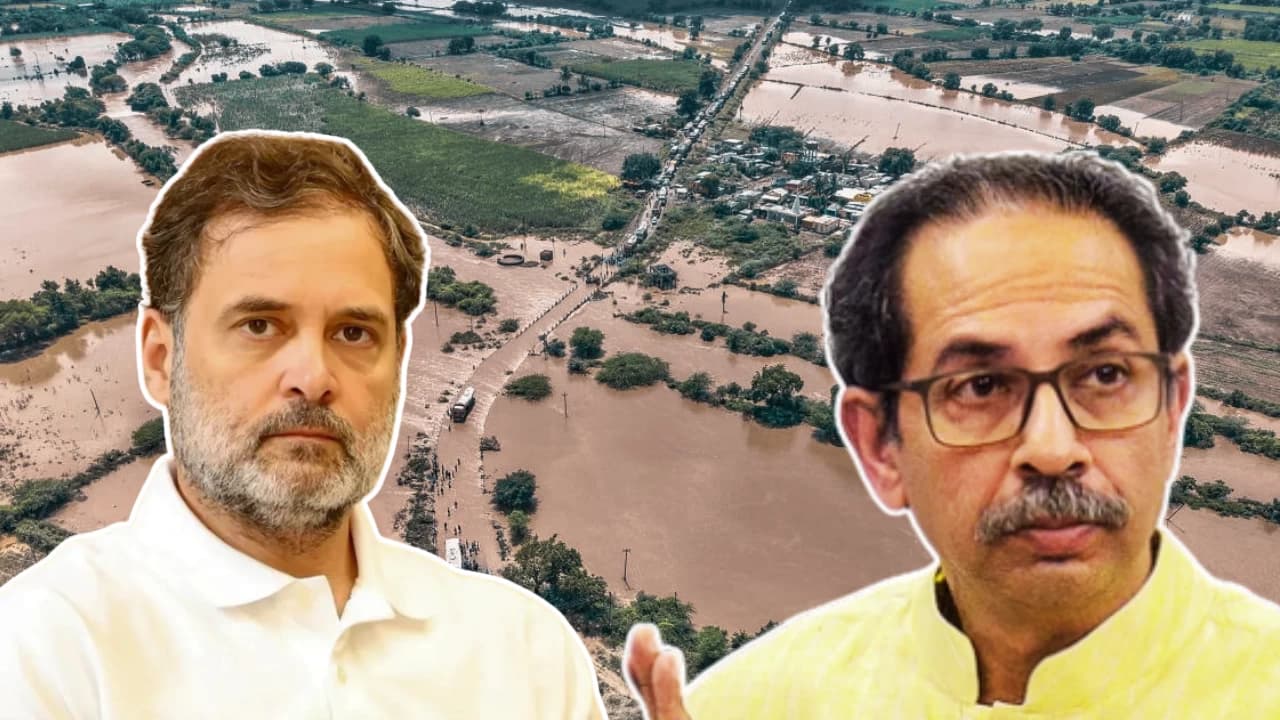 Uddhav Thackeray, Rahul Gandhi Express Concern Over Flood-Hit Marathwada; Farmers Seek Loan Waivers