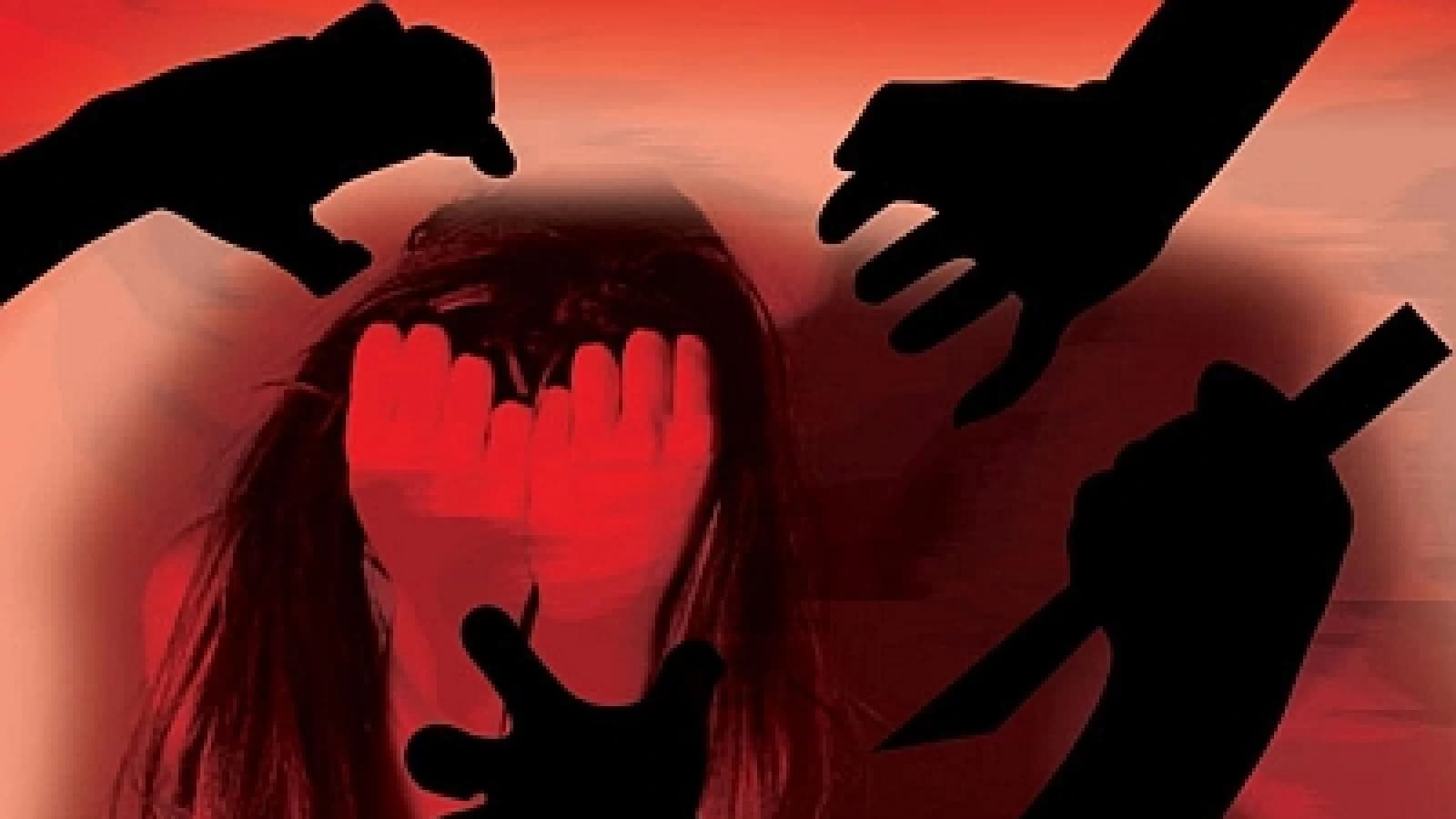 Udaipur: Woman Manager Allegedly Raped After Birthday Party, IT Firm CEO and 2 Others Arrested
