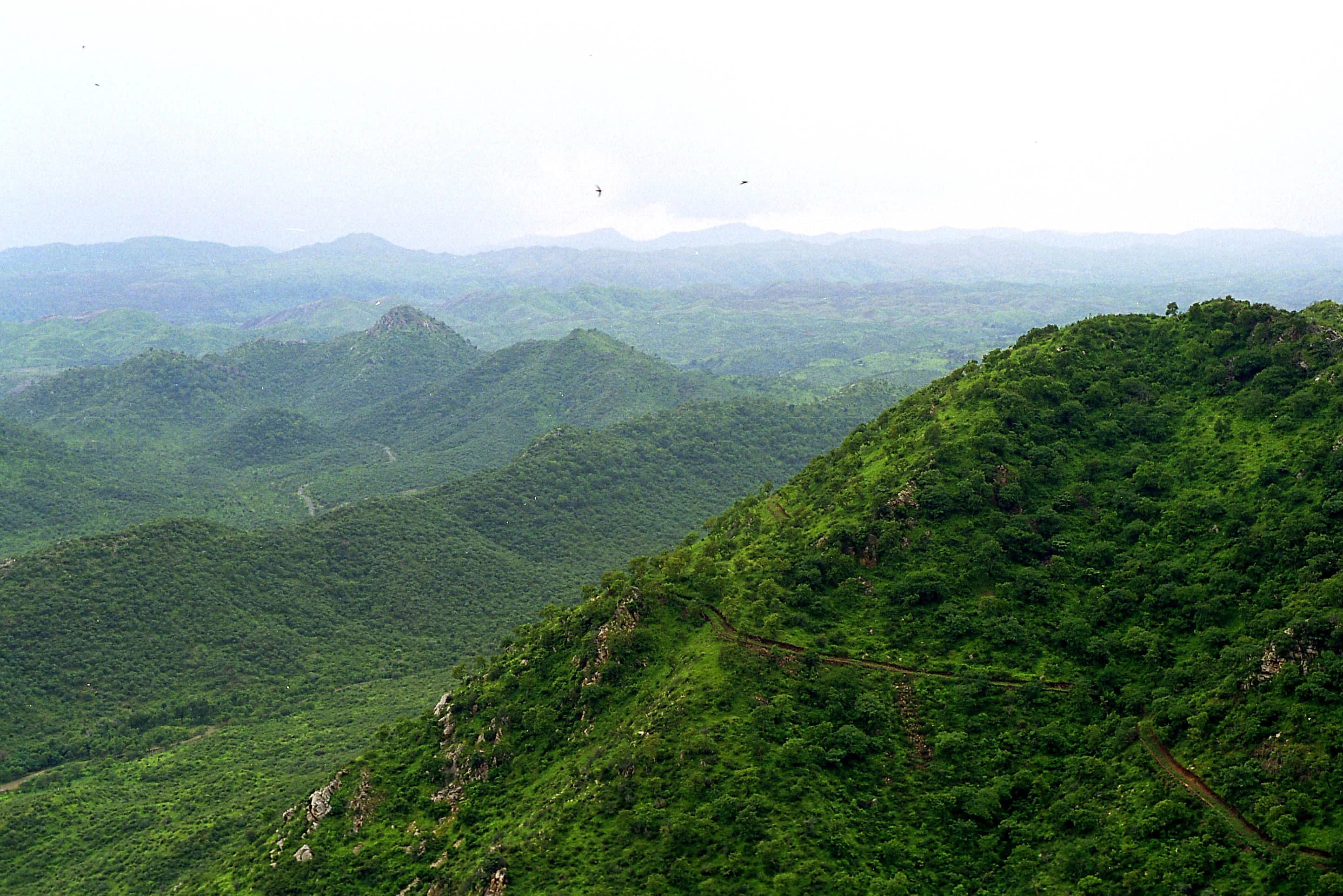 Supreme Court Puts November Ruling on Aravallis in Abeyance, Seeks Fresh Review