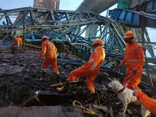 Crane Collapse at Samruddhi Expressway Construction Site in Maharashtra's Thane Claims 17 Workers' Lives
