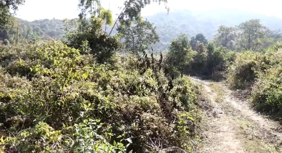 Fresh violence in Manipur, 4 killed in Bishnupur on Wednesday