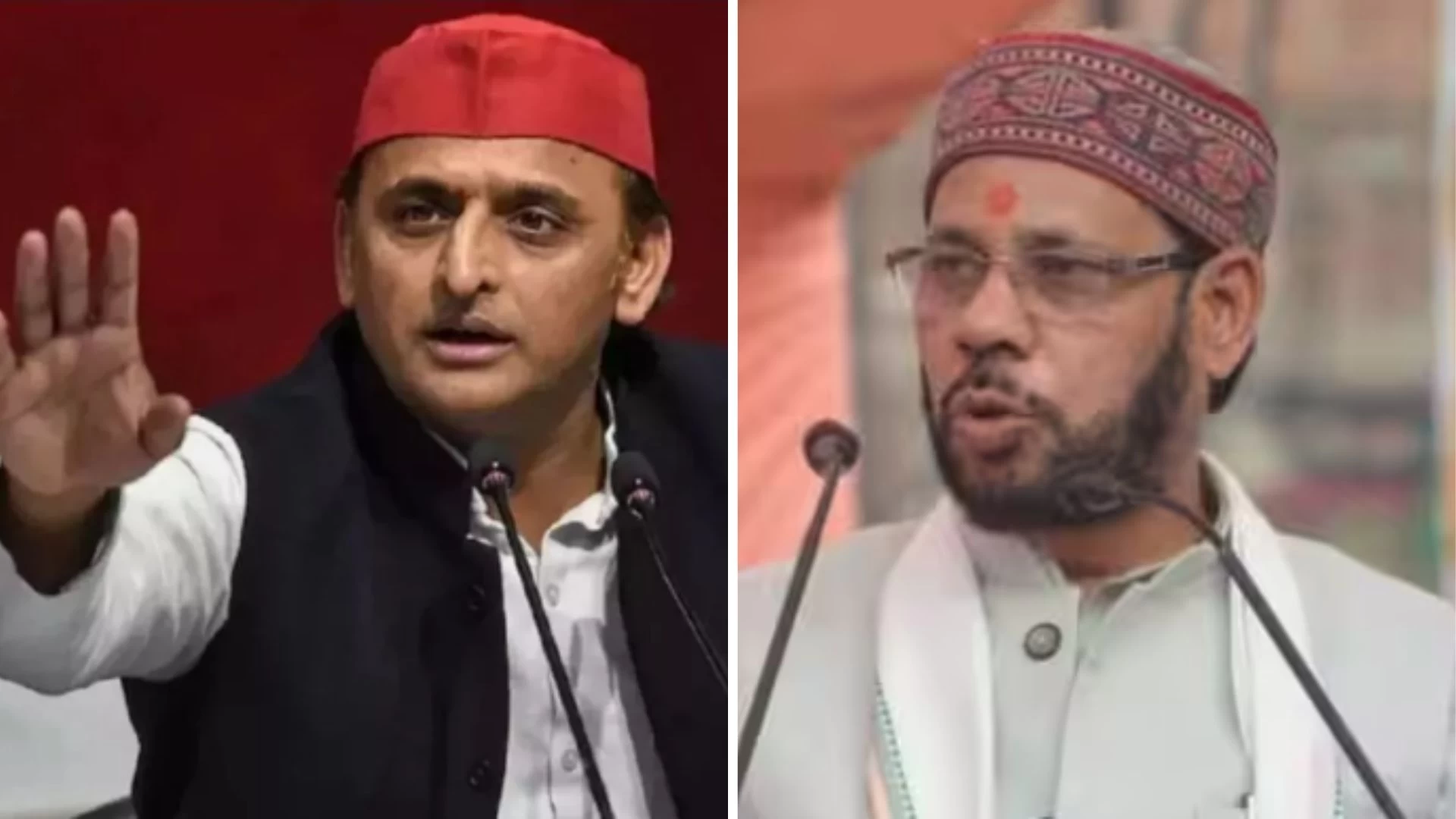 Samajwadi Party Chief Whip Quits Amidst Growing Fears Of Cross-Voting In Rajya Sabha Polls