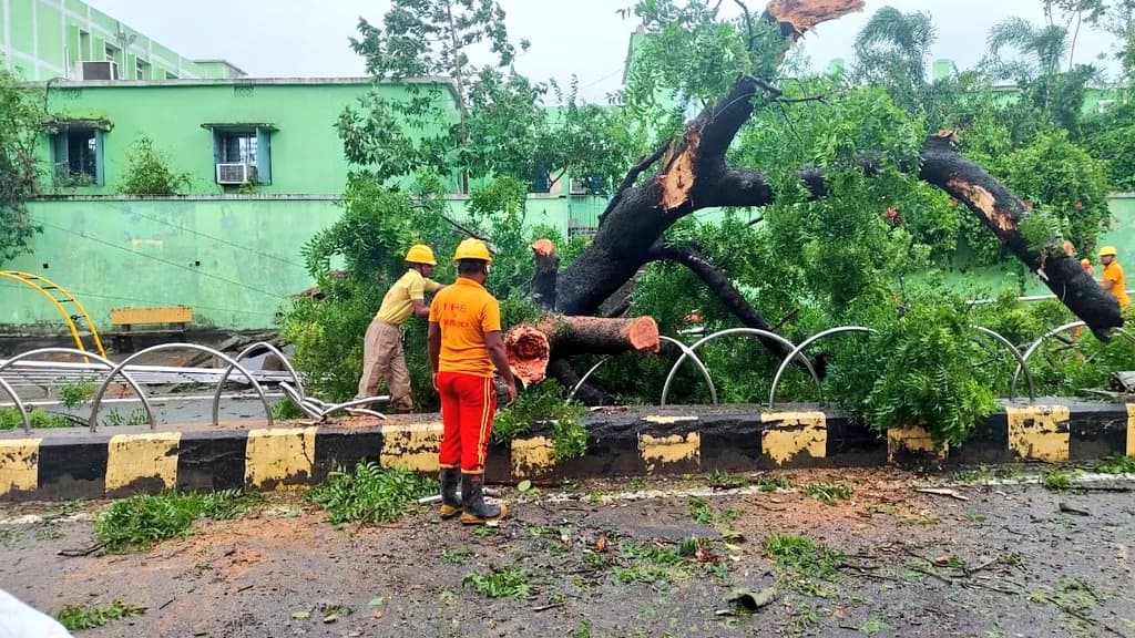 Cyclone Dana Makes Landfall in Odisha: High Winds and Heavy Rain Cause Disruptions; Emergency Services Mobilized, Relief Efforts Underway