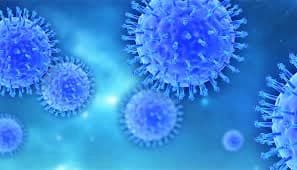 Maharashtra Issues Health Advisory After HMPV Cases Detected in Bengaluru, Ahmedabad